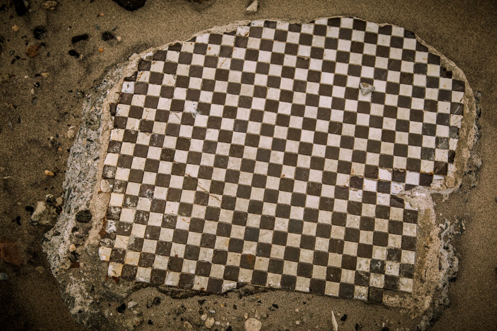 art-of-sandy-mo-seagate 2-50.jpg